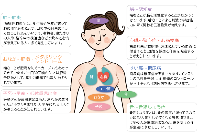 歯の病気とからだの病気