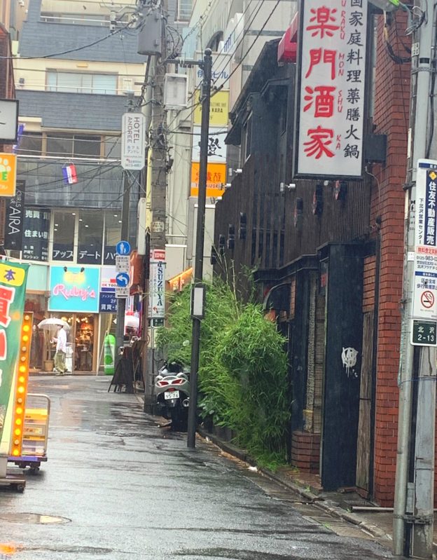 東京都世田谷区北沢／小田急小田原線・京王井の頭線の下北沢駅から徒歩2分、下北沢南口商店街の一角に位置する5階建て新築テナントビル